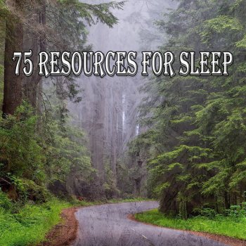 White Noise Research Night Noise