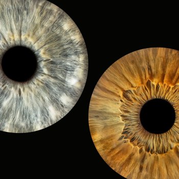 Исполнитель ТоНа, альбом Голливуд - Single