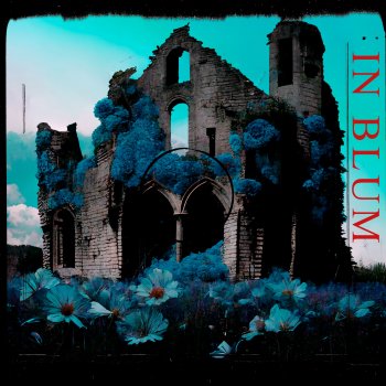 Исполнитель Rority, альбом In Blum