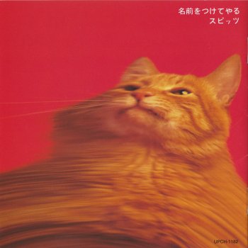 Spitz 待ち合わせ