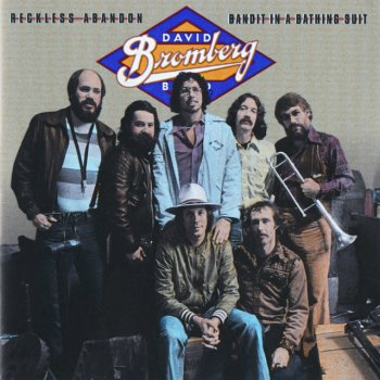 David Bromberg Nobody's Fault But Mine