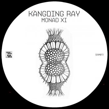 kangding ray Thar (Original Mix)