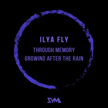 Ilya Fly Through Memory