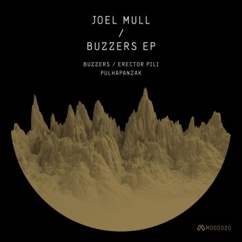 Joel Mull Pulhapanzak