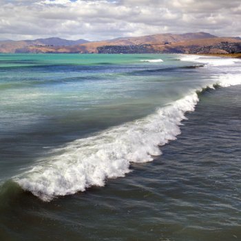 Исполнитель O.P.A.L., альбом Pacific