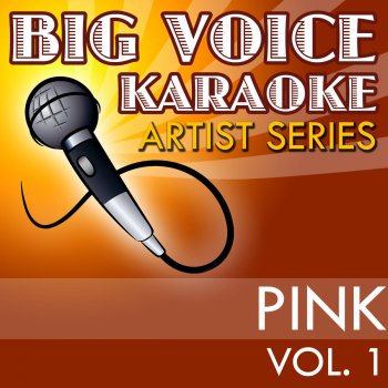 Big Voice Karaoke True Love (In the Style of Pink & Lily Allen) [Karaoke Version]