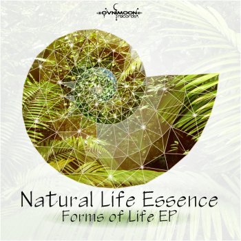 Natural Life Essence Liquid Frog, Salvation Storm