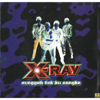 X-Ray Sinar X-Ray