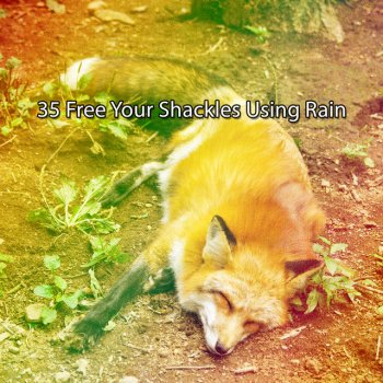 Thunderstorms Healing Rain