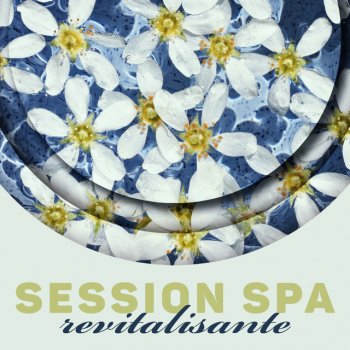 Detente Spa Musique Collection Jardin zen