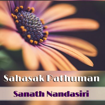 Sanath Nandasiri Sulan Hamai