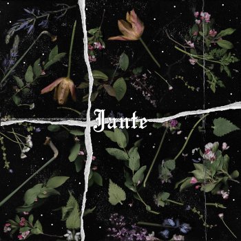 !SAURA Jante