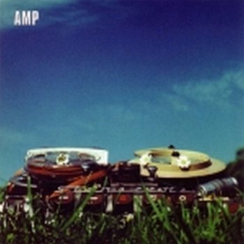 Amp Sunflower