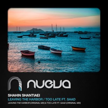 Shahin Shantiaei Too Late