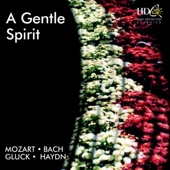 Lithuanian Chamber Orchestra Divertimento No.15 for 2 Horns and Strings in B flat major, K. 287 : IV. Adagio