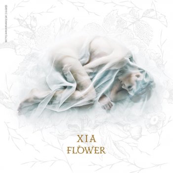XIA My Night