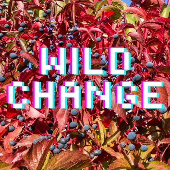 River Holtame Wild Change