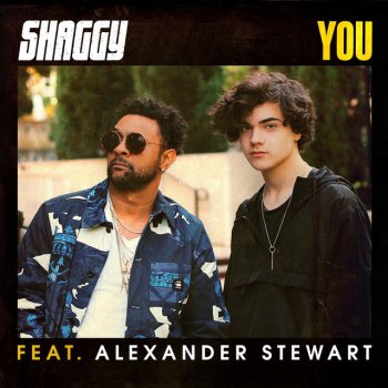 Shaggy feat. Jessi Alexander Stewart You - Extended Version