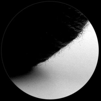 Исполнитель Frank Martiniq, альбом Nights In Black Satin