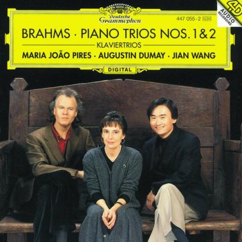 Maria João Pires feat. Augustin Dumay & Jian Wang Piano Trio No. 1 in B Major, Op. 8: IV. Allegro