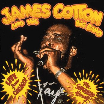 James Cotton Born In Chicago