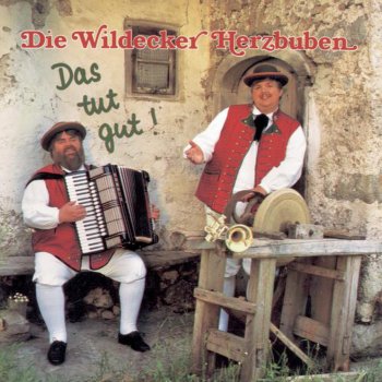 Die Wildecker Herzbuben Hinter jedem Abschied (und nach jeder Träne)