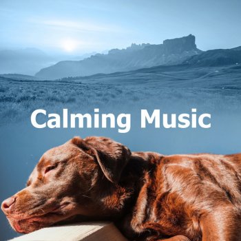 Relaxing Music for Dogs Relieving Anxiety