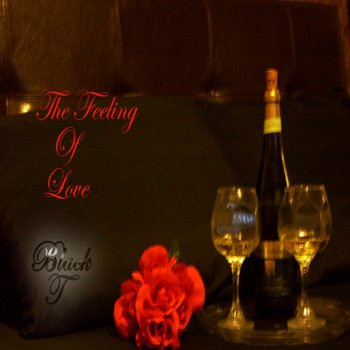 Исполнитель Black T, альбом The Feeling of Love