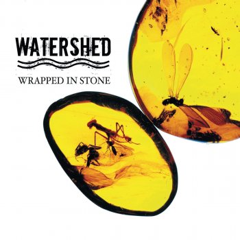 Watershed Don't Go Changing