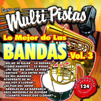 MMP Veinticinco Rosas (karaoke)