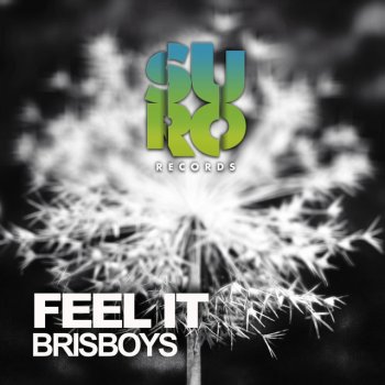 Brisboys Feel It - Marcelo Demarco Remix
