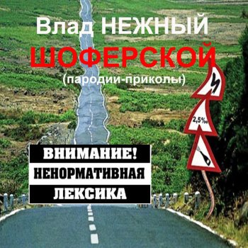 Влад Нежный Шоферская-дорожная