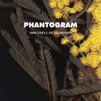 Phantogram Voices