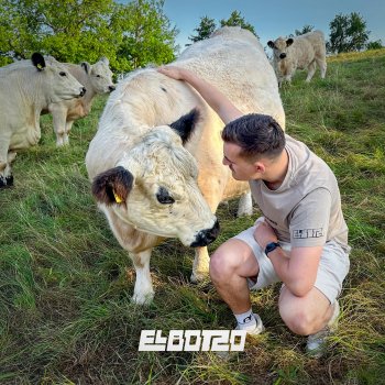 Исполнитель 3LBotzo, альбом I bin fidel (a Rindvieh) - Single