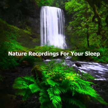 Nature Recordings Fern Biome