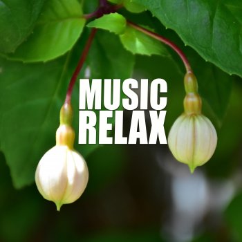 Marcelo Body and Mind Relax