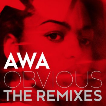 Awa Obvious - Jerome Price Remix