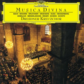 Исполнитель Dresdner Kreuzchor feat. Roderich Kreile, альбом Musica Divina