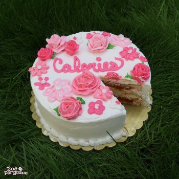 Zoë Ferguson Calories