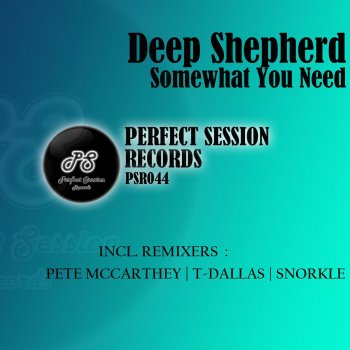 Deep Shepherd Somewhat You Need (Snorkle Remix)