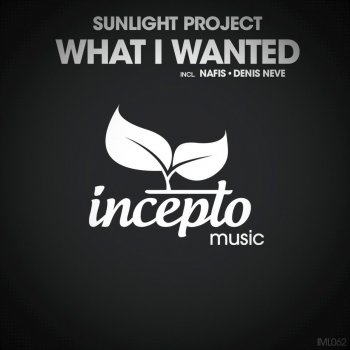 Sunlight Project What I Wanted (Denis Neve Remix)