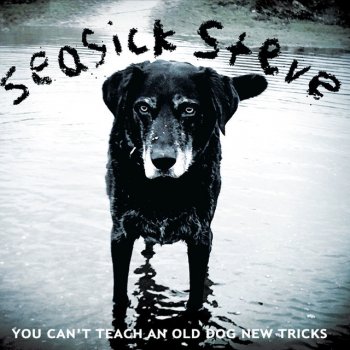 Seasick Steve You Can't Teach An Old Dog New Tricks