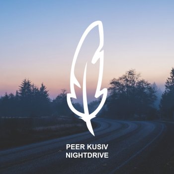 Исполнитель Peer Kusiv, альбом Nightdrive