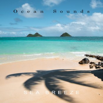 Ocean Sounds Sunrise