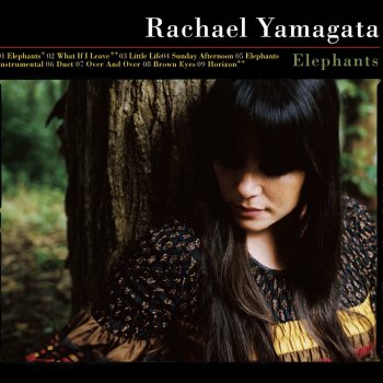 Rachael Yamagata Accident - Radio Edit