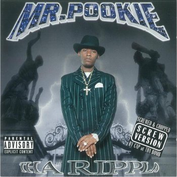 Mr. Pookie Down Like That (Chopped and Screwed)