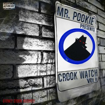 Mr. Pookie Flyaway