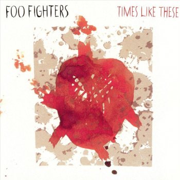 Foo Fighters Life Of Illusion