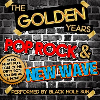 Black Hole Sun Run to the Sun