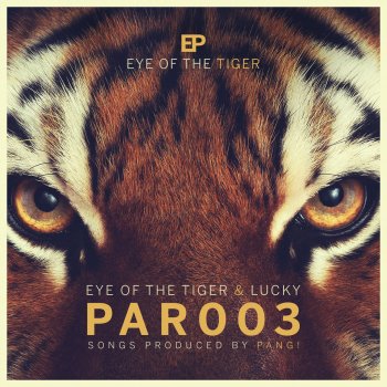 PANG! Eye of the Tiger